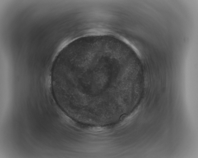 X0000111191459200907291154