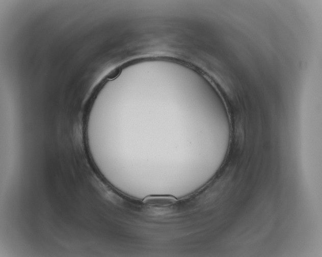 X0000111191460200907291154