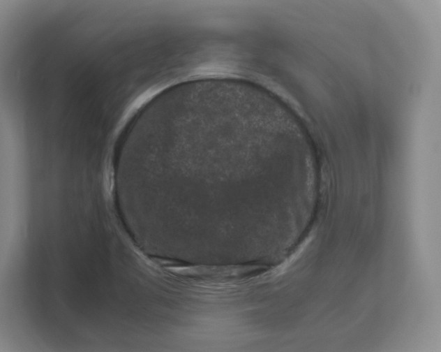 X0000111191461200907291154