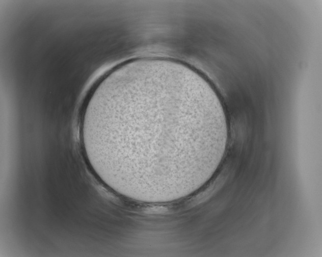 X0000111191462200907291154