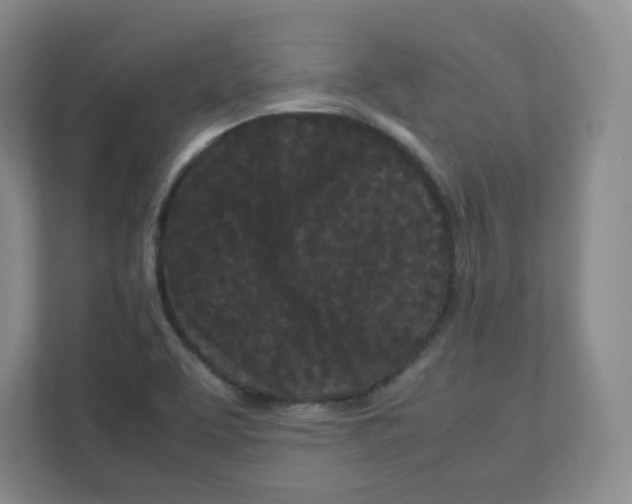 X0000111191463200907291153