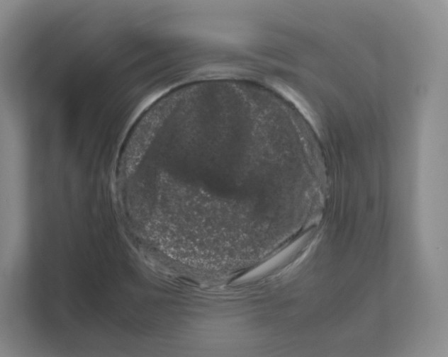X0000111191465200907291153