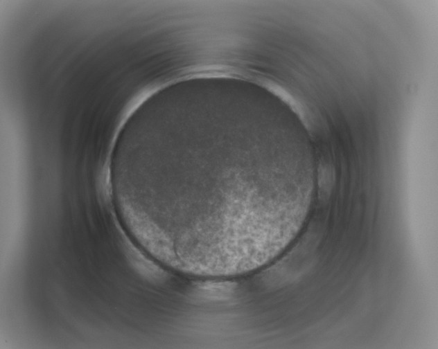 X0000111191466200907291153