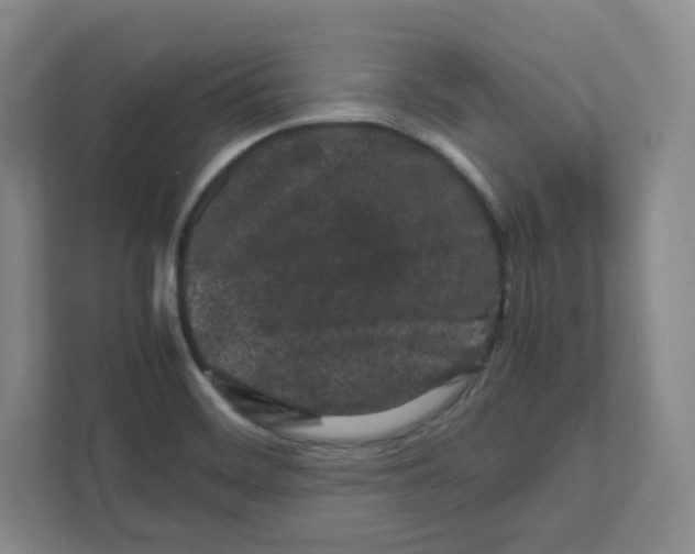 X0000111191468200907291153