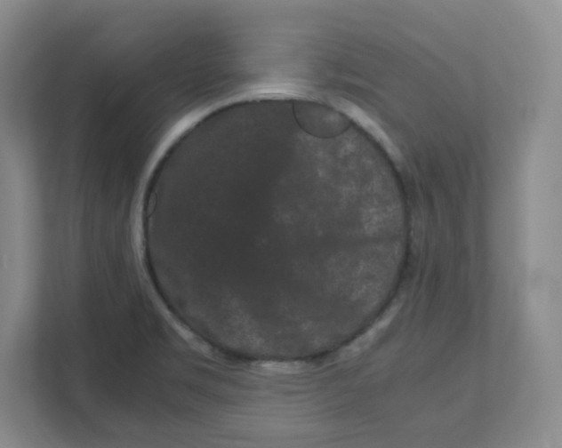 X0000111191469200907291153