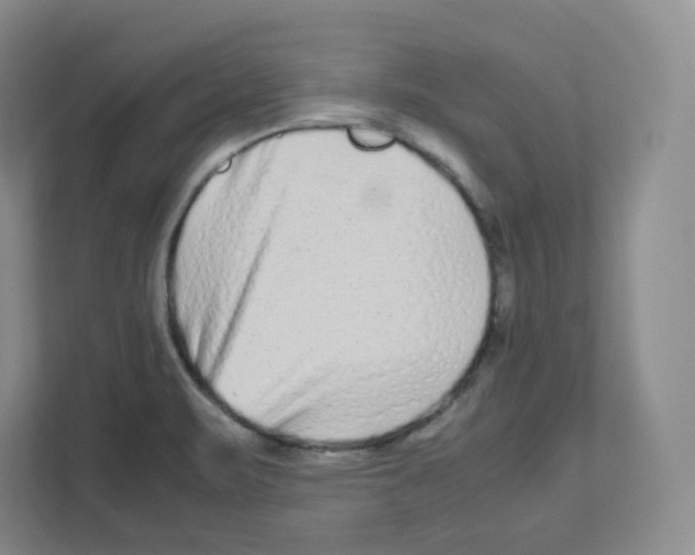 X0000111191471200907291153