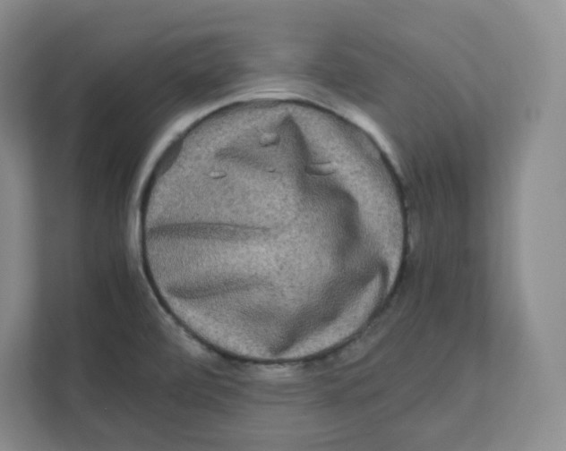 X0000111191472200907291153