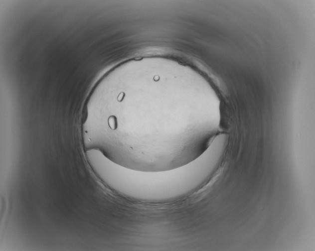 X0000111191473200907291153