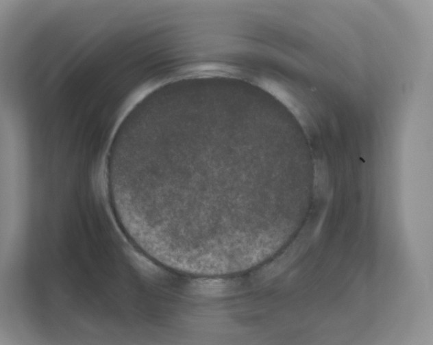 X0000111191474200907291153