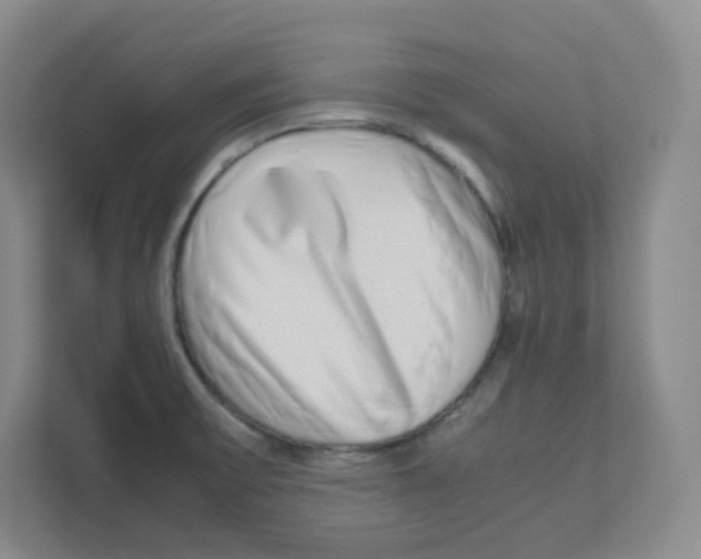 X0000111191475200907291153