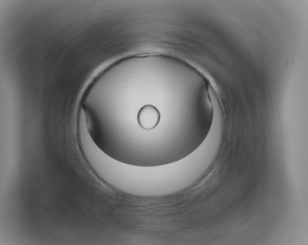 X0000111191477200907291153
