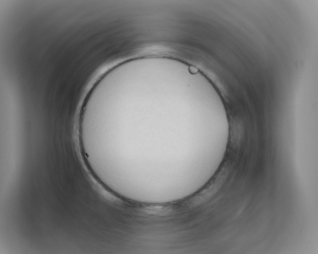 X0000111191478200907291153