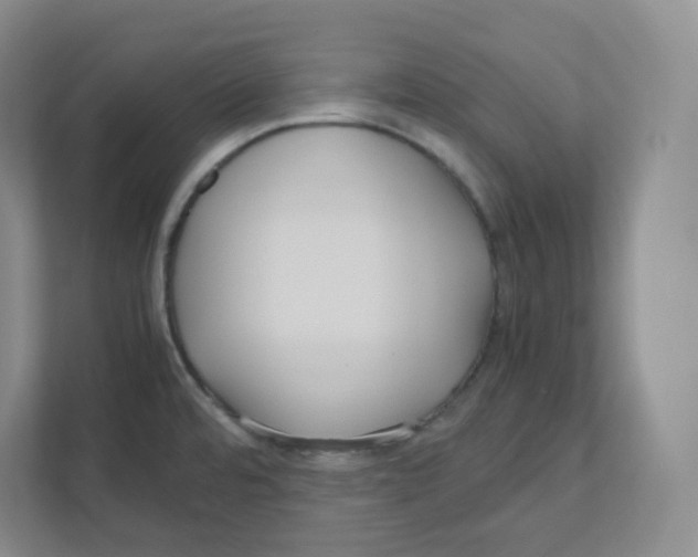 X0000111191480200907291153