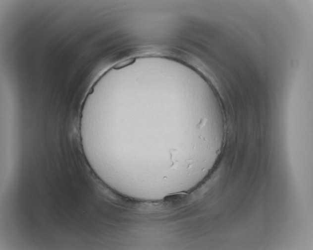 X0000111191481200907291153