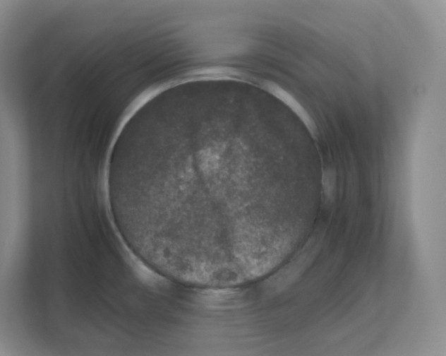 X0000111191482200907291153