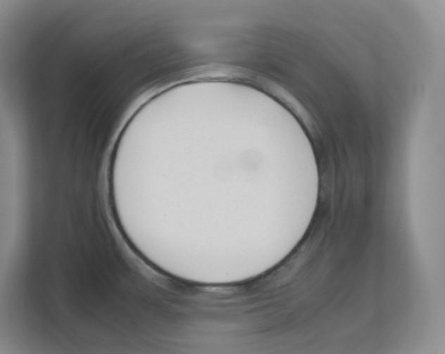 X0000111191483200907291153