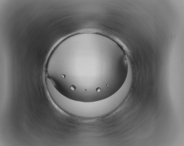 X0000111191484200907291153