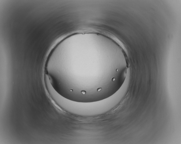 X0000111191485200907291153