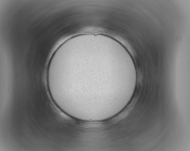 X0000111191486200907291153