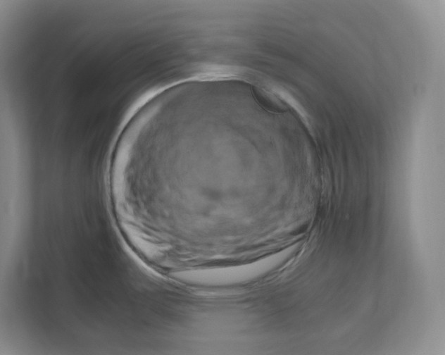 X0000111191487200907291153