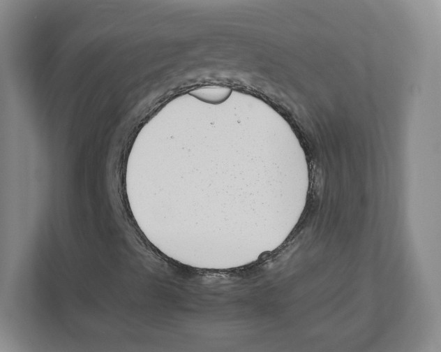 X0000111191489200907291153