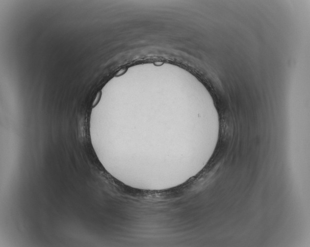 X0000111191490200907291153