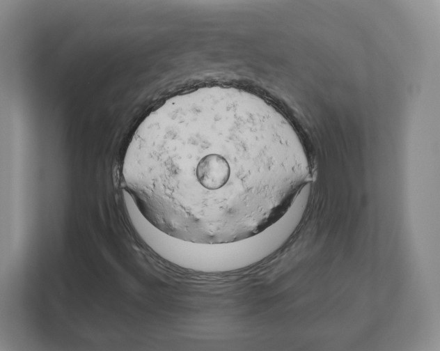 X0000111191492200907291153