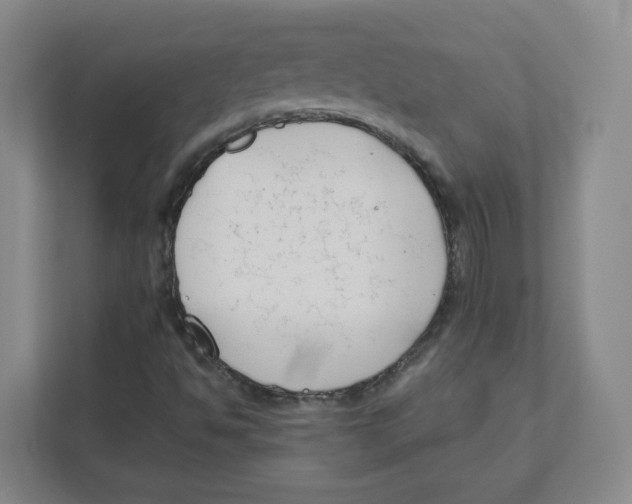 X0000111191494200907291153