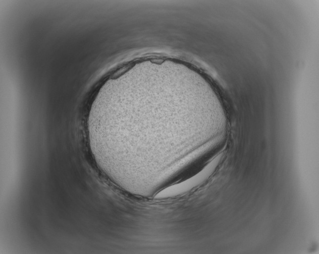 X0000111191496200907291153