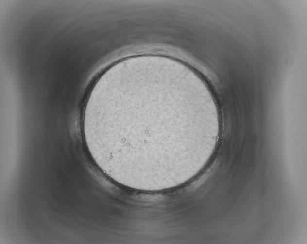 X0000111191498200907291153