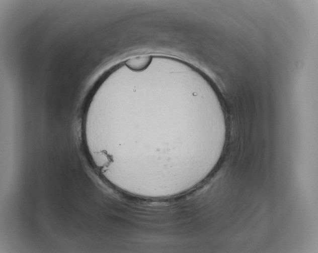 X0000111191503200907291153