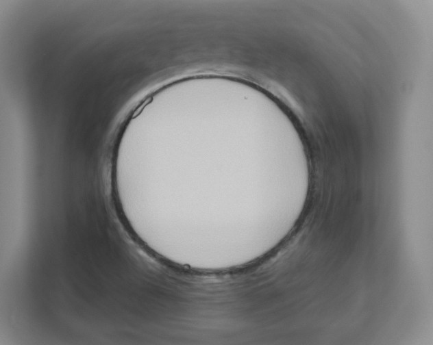 X0000111191504200907291153