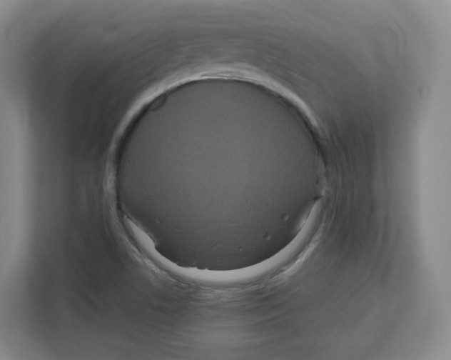 X0000111191506200907291153