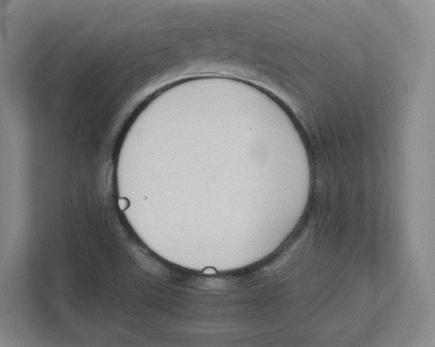 X0000111191507200907291153