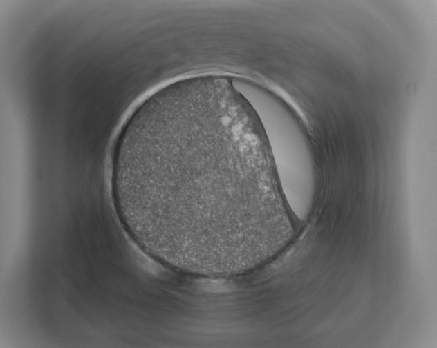 X0000111191508200907291153