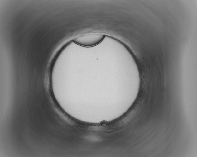 X0000111191511200907291153