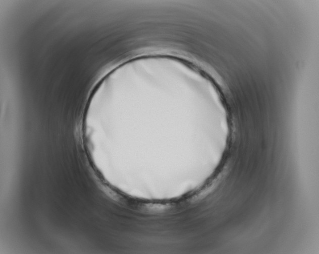 X0000111191513200907291153