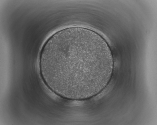 X0000111191514200907291153