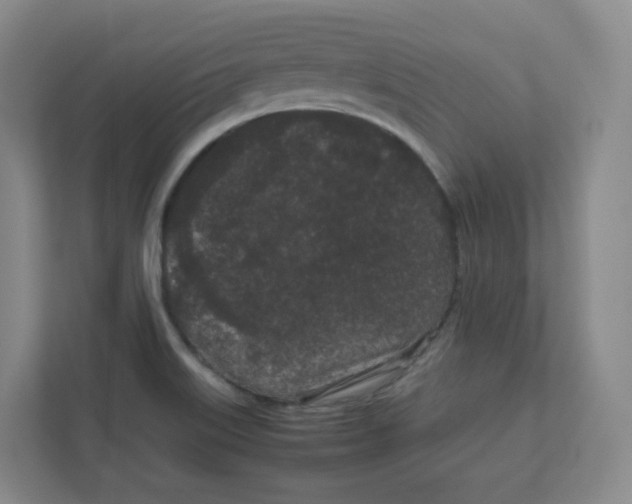 X0000111191515200907291153
