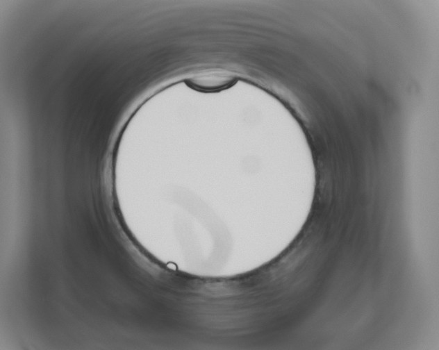 X0000111191516200907291153