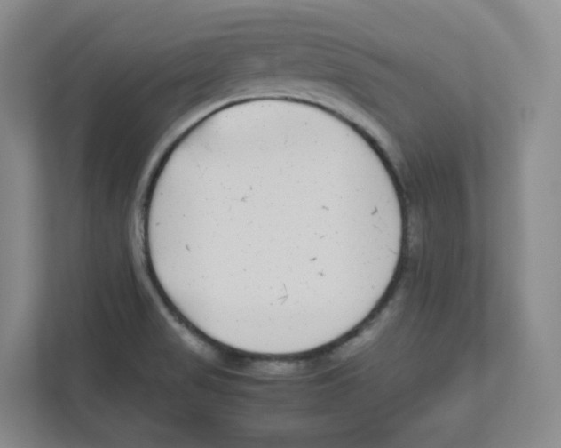 X0000111191517200907291153