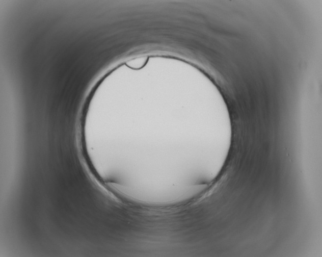 X0000111191518200907291153