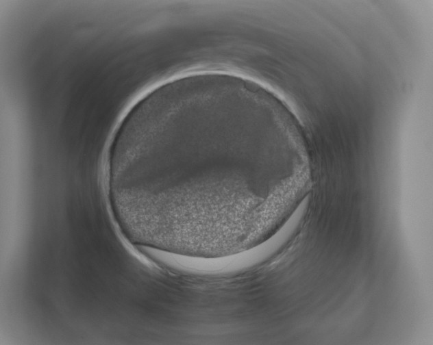 X0000111191519200907291153