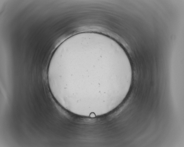 X0000111191521200907291153
