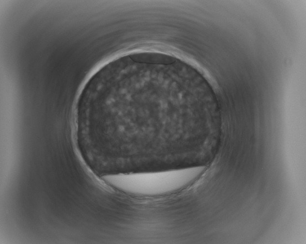 X0000111191522200907291153