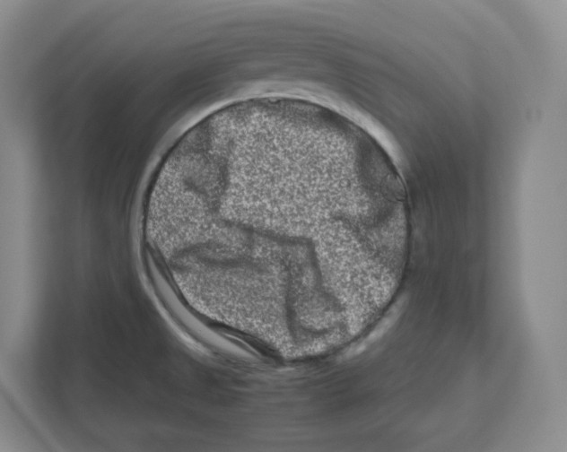 X0000111191525200907291153