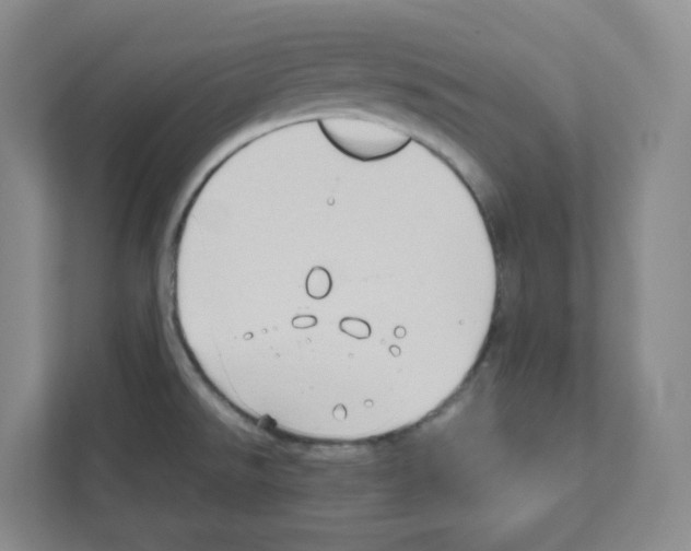 X0000111191526200907291153