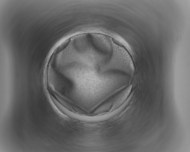 X0000111191528200907291153