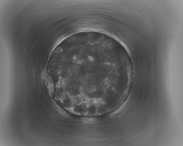 X0000111191529200907291153