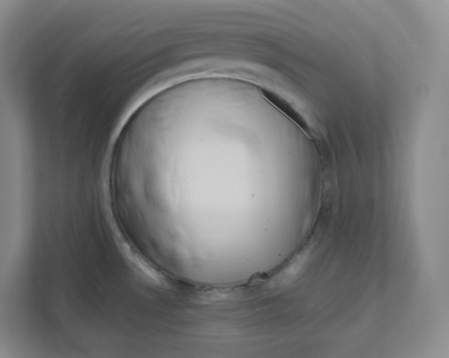 X0000111191530200907291153